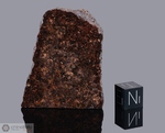 NWA 031 - Recuperata nel 1999, Souss-Massa-Draâ, Marocco, Africa. Condrite H5. Massa totale 730 grammi. Campione in collezione: fetta gr.27.2 - McM315