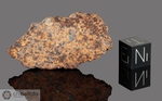 NWA 1062 - Recuperata nel 2001, Rissani, Marocco, Africa. Condrite H4. Massa totale 112 grammi. Campione in collezione: fetta gr.7.6   - McM172