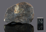 Hammadah al Hamra 346 - Found 2019, Gharyan, Libya, Africa. Chondrite L6. Total mass 100 kg. - Fragment with crust gr.125.3 - € 300,00
