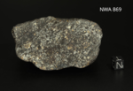 NWA 869