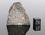 NWA 869 - Found 2000, Erfoud, Morocco, Africa. Chondrite L4/6. Total mass over 2000 kg. - End piece gr.51.4 - € 51,40