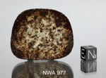 NWA 977