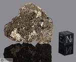 AMGALA 001 - Recuperata nel 2022, Sahara Occidentale, Africa. Achondrite Shergottite. Massa totale recuperata 34.67 kg. Campione in collezione: fetta gr.5.4 (McM388)