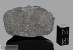 NWA 1808 - Recuperata nel 2002, Erfoud, Marocco, Africa. Condrite H5 Impact Melt Breccia. Massa totale 684 grammi. Campione in collezione: massa maggiore gr. 61.6  - McM628