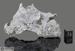 ODESSA - Recuperata nel 1922, Contea Ector, Texas, USA. Siderite Octhaedrite IAB-MG. Massa totale recuperata 1.6 tonnellate. Pezzo in collezione: fetta gr.107.5 (McM176)
