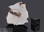 LAKE MURRAY - Recuperata nel 1933, Contea Carter, Oklahoma, USA. Siderite Octahedrite IIAB. Massa totale recuperata 267.6 kg. Pezzo in collezione: fetta gr.56.61 (McM353)