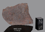 NWA 4428 - Found 2006, Morocco, Africa. Chondrite H4. Total mass 301 grams. - Slice gr.7.714 - € 15,42