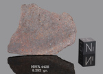 NWA 4428 - Found 2006, Morocco, Africa. Chondrite H4. Total mass 301 grams. - Slice gr.8.292 - € 16,58