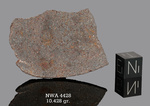 NWA 4428 - Found 2006, Morocco, Africa. Chondrite H4. Total mass 301 grams. - Slice gr.10.428 - € 20,85