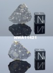 NWA11421