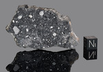 NWA 17679 - Found 2024, Morocco, Africa. Achondrite Lunar Feldspathic Breccia. Total mass 1040 grams - Slice gr.13.009 - € 650,00