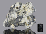 NWA 18048 - Found 2024, Morocco, Africa. Achondrite Eucrite-pmict. Total mass 5.2 kg. Slice gr.34.4 - € 205,96