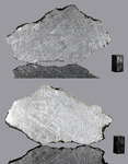 MUONIONALUSTA - Found 1906, near Kiruna, Norrbotten, Sweden. Iron Octahedrite IVA. Total mass over 230 kg. Slice gr.132.8 - € 290,80 - stabilized in electrolysis