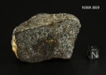 NWA 869