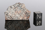 NWA 869 - Found 2000, Erfoud, Morocco, Africa. Chondrite L4/6. Total mass over 2000 kg. - End piece gr.38.9 - € 38,90