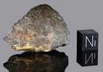 NWA 869 - Found 2000, Erfoud, Morocco, Africa. Chondrite L4/6. Total mass over 2000 kg. - Fragment gr.24 - € 24,00