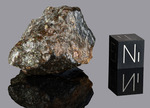 NWA 869 - Found 2000, Erfoud, Morocco, Africa. Chondrite L4/6. Total mass over 2000 kg. - Fragment gr.30.5 - € 30,50
