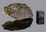NWA 869 - Found 2000, Erfoud, Morocco, Africa. Chondrite L4/6. Total mass over 2000 kg. - Fragment gr.32 - € 32,00