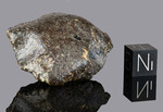 NWA 869 - Found 2000, Erfoud, Morocco, Africa. Chondrite L4/6. Total mass over 2000 kg. - Fragment gr.34.4 - € 34,40