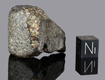 NWA 869 - Found 2000, Erfoud, Morocco, Africa. Chondrite L4/6. Total mass over 2000 kg. - Fragment gr.44.3 - € 44,30