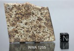 NWA 1255