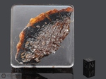 NANTAN - Recuperata nel 1958, Guangxi, Cina. Siderite Octahedrite IAB-MG. Massa totale recuperata 9500 kg. Pezzo in collezione: fetta gr.72.5 (McM156)