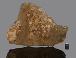 Jikharra 001 - Found 2022, Libya, Africa. Achondrite Eucrite Melt Breccia. Total mass 2.5 tons. Slice gr.365 - € 400,00