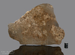 JIKHARRA 001 - Recuperata nel 2022, Libia, Africa. Achondrite Eucrite Breccia Liquefatta. Massa totale recuperata 2.5 ton. Campione in collezione: fetta gr.378 (McM733)