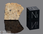 NWA 1109 - Recuperata nel 2001, Marocco, Africa. Achondrite Eucrite. Massa totale recuperata 6 kg. Pezzo in collezione: fetta gr.1.6 (McM457)
