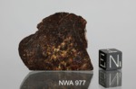 e L5. Total mass 600 grams. - End piece gr.19.4 - € 31,04NWA 977