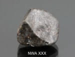 NWA XXX