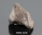NWA XXX