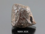NWA XXX