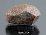 NWA XXX