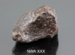 NWA XXX