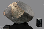 ALFIANELLO - Caduta il 16 Febbraio 1883, Brescia, Italia. Chondrite L6. Massa totale recuperata 228 kg. Pezzo in collezione: frammento con crosta gr.235.1 (McM04) 