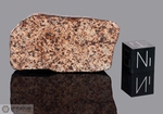 DAR AL GANI 523 - Recuperata nel 1998, Dar Al gani, Deserto libico, Libia. Chondrite L4/5. Massa totale recuperata 100 grammi. Pezzo in collezione: fine pezzo gr.23 (McM51)