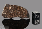 DHOFAR 008 - Recuperata nel 1999, Oman. Chondrite L3.2/3.3. Massa totale recuperata 2200 grammi. Pezzo in collezione: fetta gr.6.22 (McM312) 