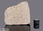 HAMMADAH AL HAMRA 194 - Recuperata nel 1996, Libia, Africa. Chondrite L4. Massa totale recuperata 1255 grammi. Pezzo in collezione: fetta gr.88 (McM598)
