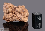 HAMMADAH AL HAMRA 241 - Recuperata nel 1998, Hammadah Al Hamra, Libia. Chondrite L6 brecciata. Massa totale recuperata 1440 grammi. Pezzo in collezione: frammento gr.20 (McM106) 