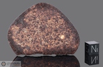 NWA 977 - Recuperata nel 2001, Erfoud, Morocco, Africa. Chondrite L5. Massa totale recuperata 600 grammi. Pezzo in collezione: fetta gr.26 (McM527) 
