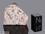 NWA 1263 - Recuperata nel 2002, Erfoud, Marocco, Africa. Chondrite L4. Massa totale recuperata 74.4 grammi.Pezzo in collezione: fine pezzo gr.24.9 (McM508)