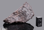 PAMPA C - Recuperata nel 1986, Mejilones, Chile. Chondrite L4. Massa totale recuperata 25 kg. Pezzo in collezione: frammento gr.107 (McM182) 
