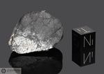 PARK FOREST - Caduta il 26 Marzo 2003, Park Forest, Illinois, USA. Chondrite L5. Massa totale recuperata oltre i 18 kg. Pezzo in collezione: fine pezzo con crosta gr.23.394 (McM564)