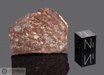 SAHARA 97002 - Recuperata nel 1997, Deserto del Sahara, Africa. Chondrite L5. Massa totale recuperata 2.54 kg. Pezzo in collezione: fetta gr.9 (McM196) 