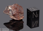 TESSERA - Recuperata il 9 Settembre 1999, Tessera, Venezia, Italia. Chondrite L in analisi. Massa totale recuperata 11.85 grammi. Pezzo in collezione: frammento gr.5.9 (McM243) 