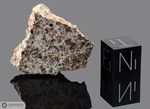 TJEREBON - Caduta il 10 Luglio 1922, Java, Indonesia. Chondrite L5. Massa totale recuperata 16.5 kg. Pezzo in collezione: fetta gr.7.5 (McM246) 