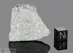VALDINIZZA - Caduta il 12 Luglio 1903, vicino Pavia, Lombardia, Italia. Chondrite L6. Massa totale recuperata 1004 grammi. Pezzo in collezione: fine pezzo con crosta gr.18.75 (McM660) 