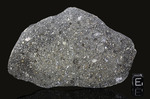 ALLENDE - Fall 8 February 1969, Chihuahua, Mexico. Carbonaceous Chondrite CV3. Total mass 2 tons. - Slice with crust gr.49.2 - € 1.786,02