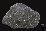 ALLENDE - Fall 8 February 1969, Chihuahua, Mexico. Carbonaceous Chondrite CV3. Total mass 2 tons. - Slice with crust gr.57.7 - € 2.094,00